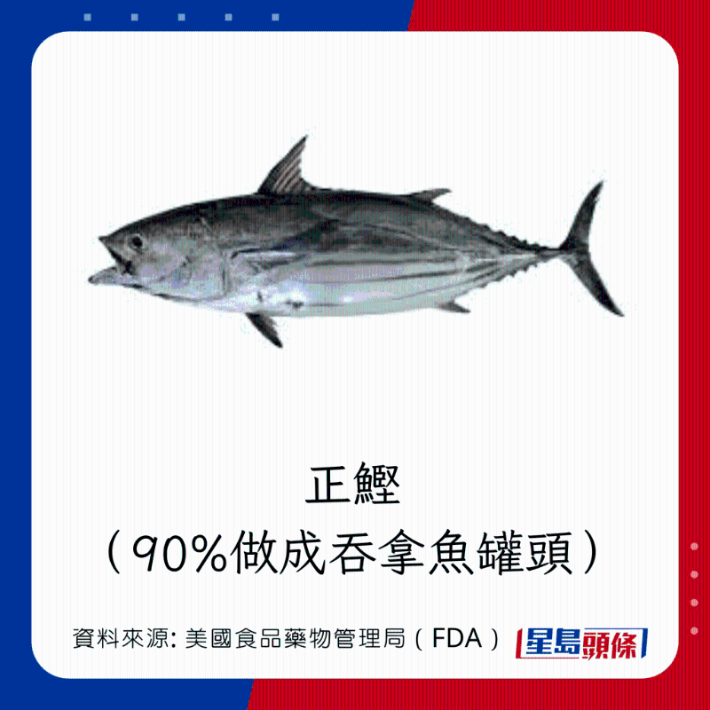 醫(yī)生列62種安全+危險魚類 最佳選擇 （汞含量最少）