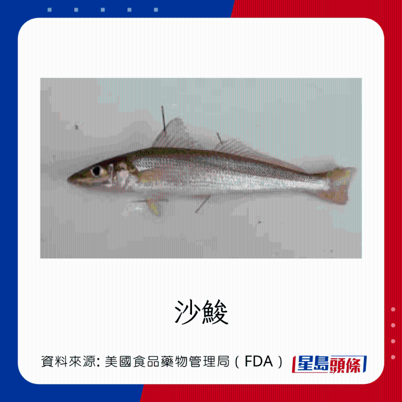 醫(yī)生列62種安全+危險魚類 最佳選擇 （汞含量最少）