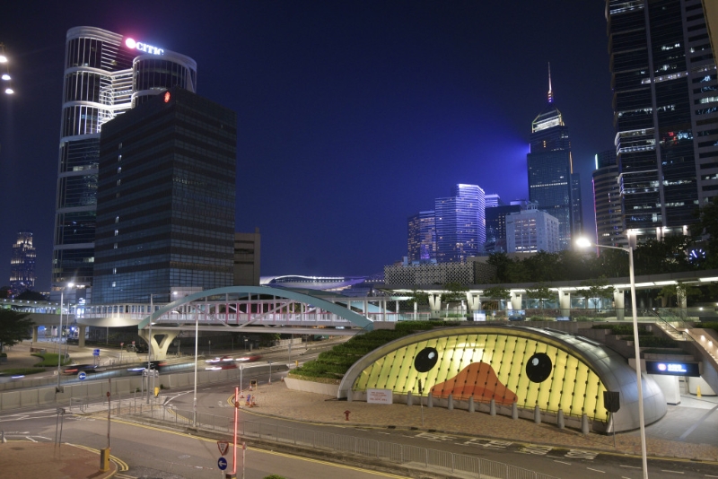 橡皮鴨夜景