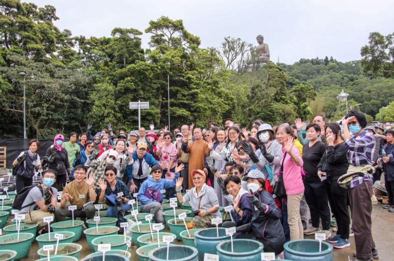 寶蓮禪寺今年初招募了150名荷花種植義工，經(jīng)香港園藝學會種植專家培訓后，與凈因大和尚一同種植荷花。