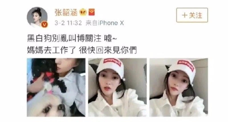 張韶涵曾曬黑白愛犬，被解讀為在影射范瑋琪夫婦。