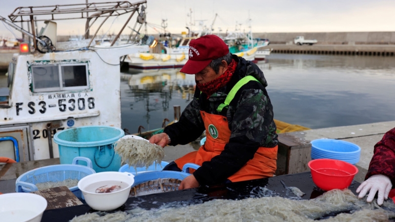 日本漁民在福島第一核電站附近的漁港整理魚獲