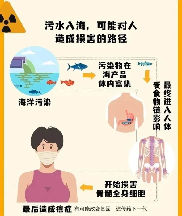 核污染水入海可能對人造成損害的路徑