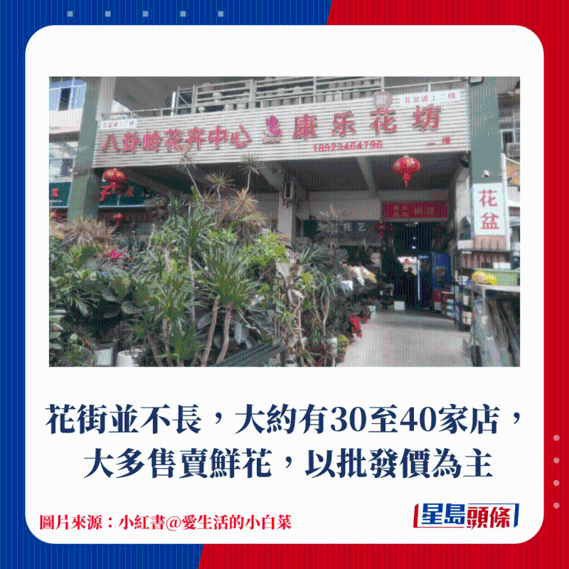 花街并不長，大約有30至40家店，大多售賣鮮花，以批發(fā)價為主