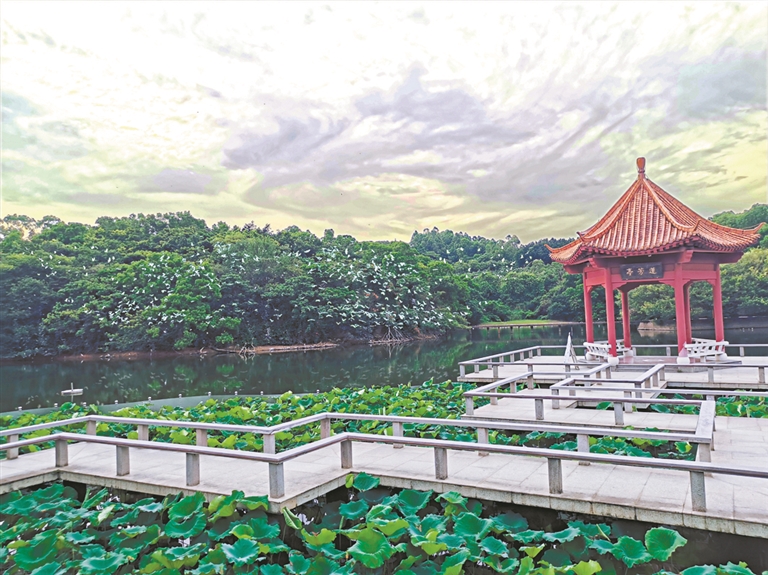 鷺鳥棲香（鷺鳥棲息地）