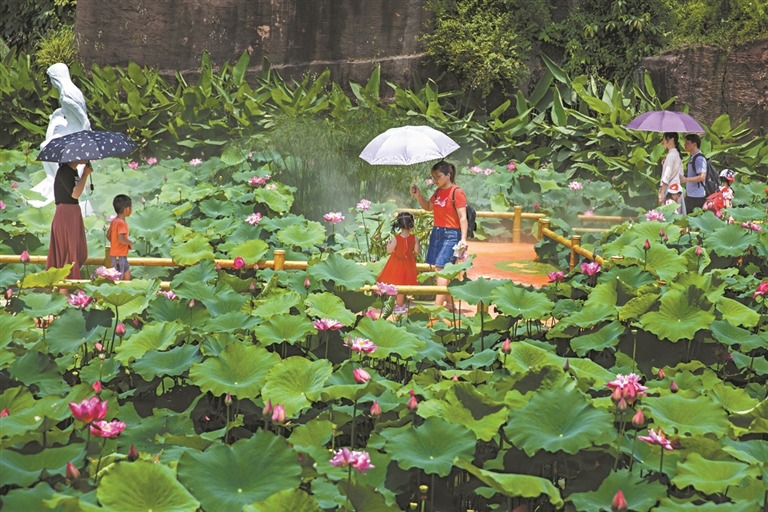 蓮花仙境