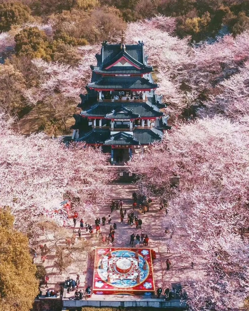 無錫太湖黿頭渚景區