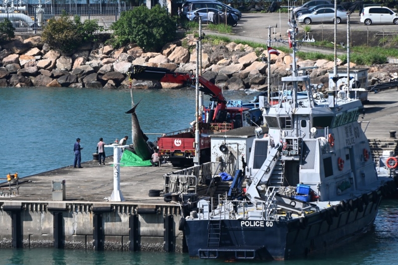 吊臂車在大欖水警基地運走鯨尸，送交漁護署海岸公園管理站解剖