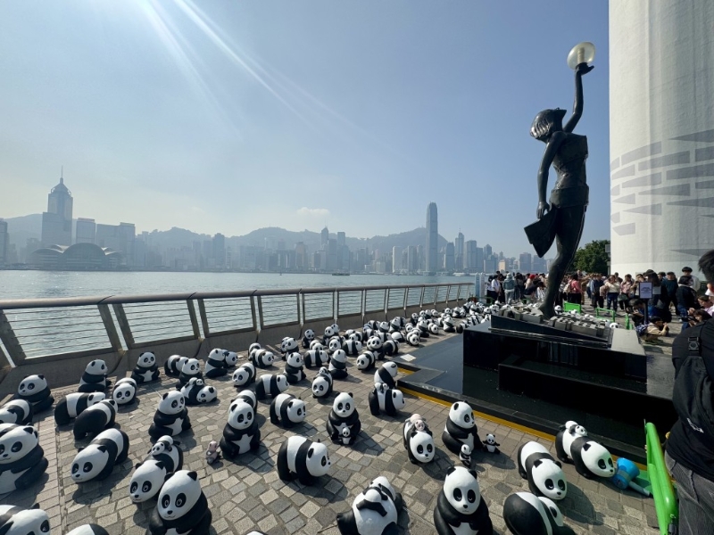 PANDA GO！香港游